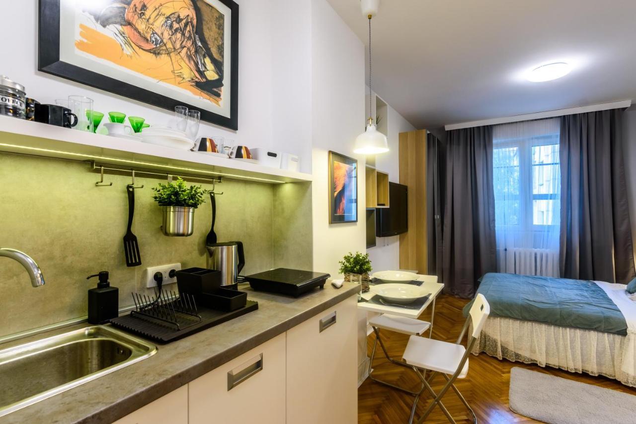 Vracar Apartment Belgrade Exterior photo